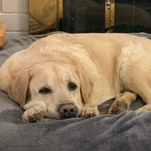 Meet your Posher, Vicky